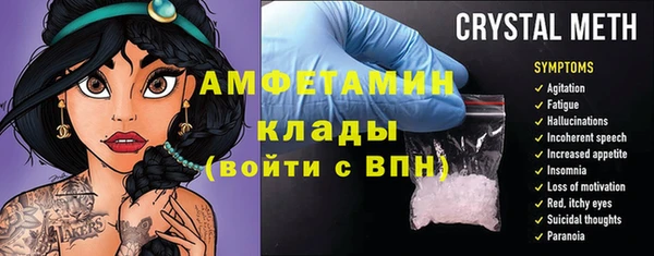 сатива Алзамай