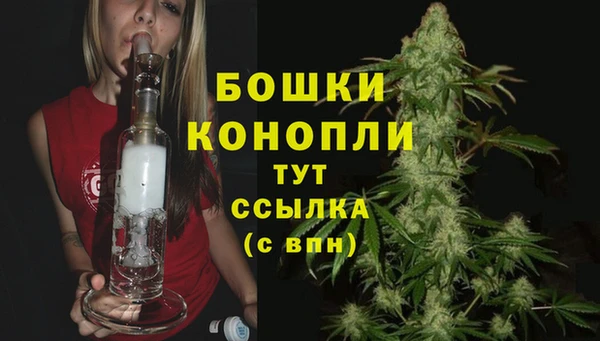 трава Ельня